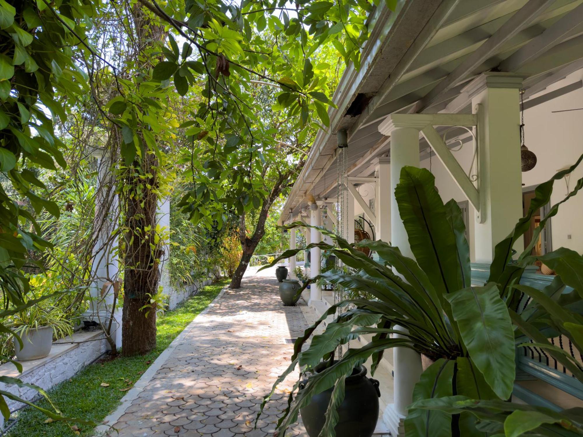 Fairy Cottage קנדי מראה חיצוני תמונה